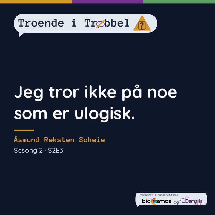 Sitatkort 2 (S2E3)