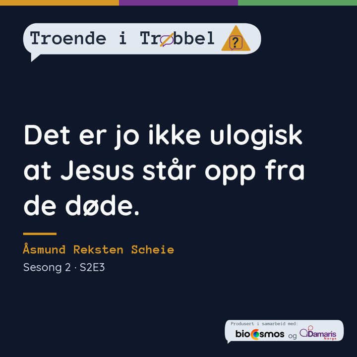 Sitatkort 3 (S2E3)