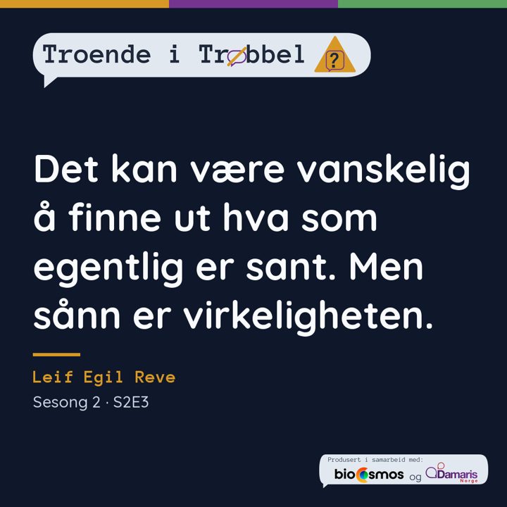 Sitatkort 4 (S2E3)