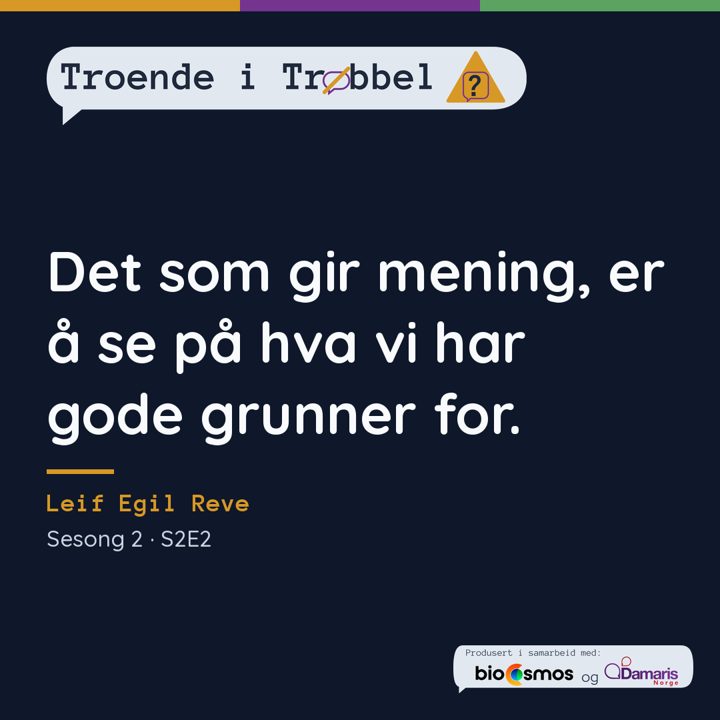 Sitatkort (S2E2)