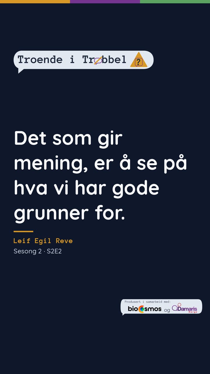 Story med sitatkort 17 (S2E2)
