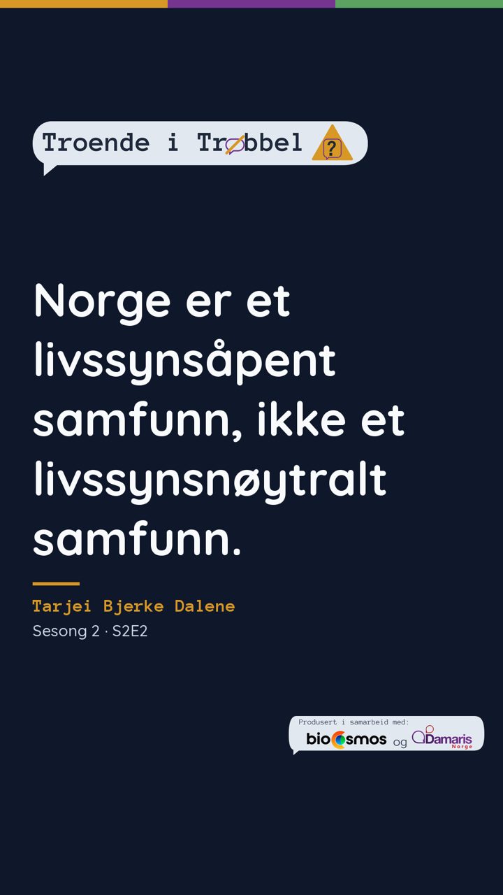 Story med sitatkort 15 (S2E2)